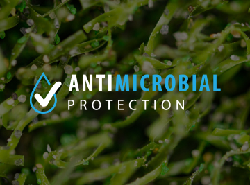 Antimicrobial Protection